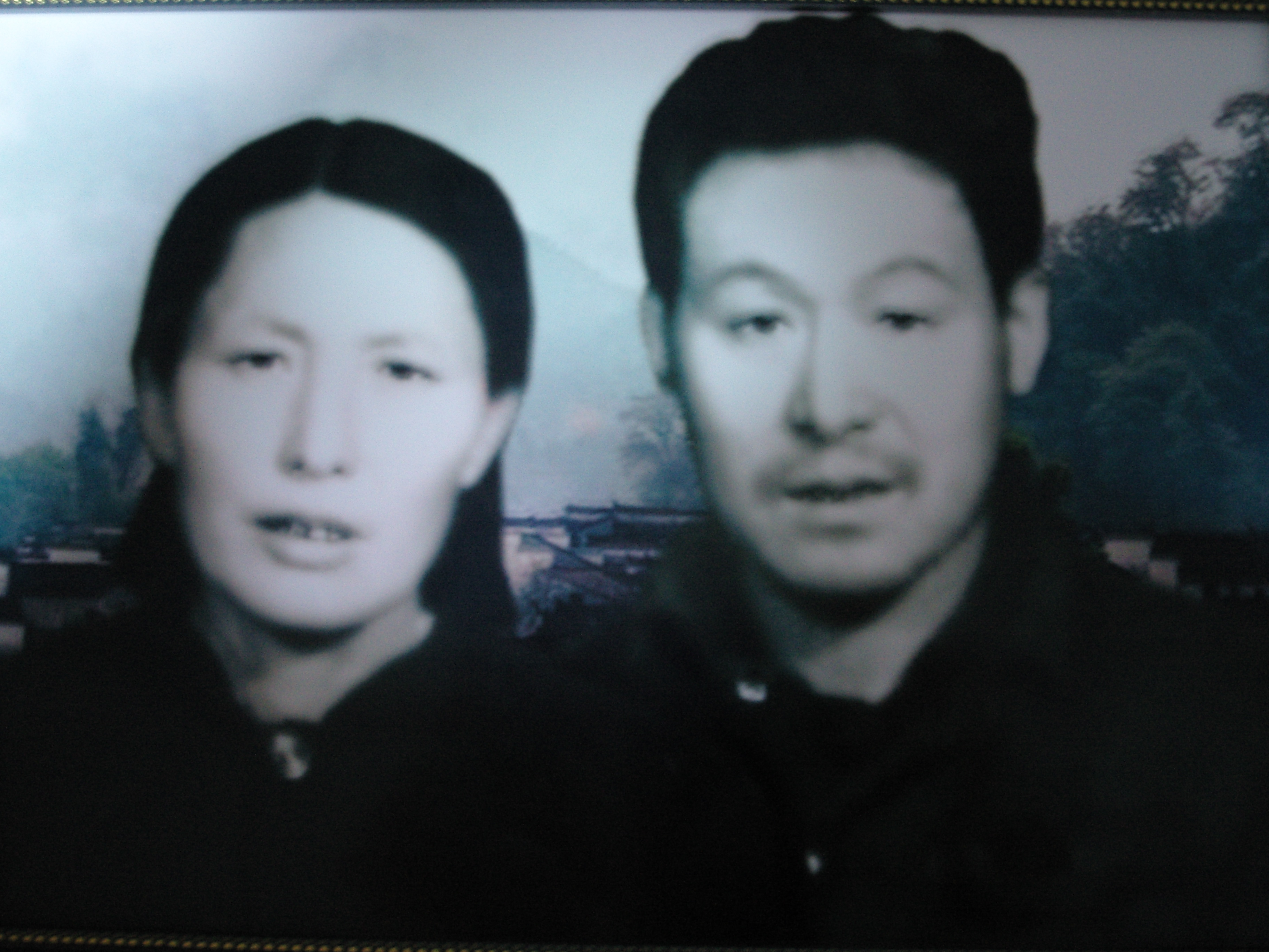 李淑杰