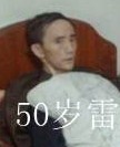 雷金模