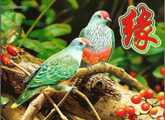 奶奶