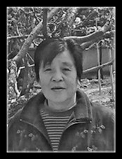 冯海梅
