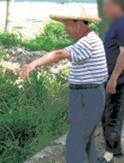 杨海波