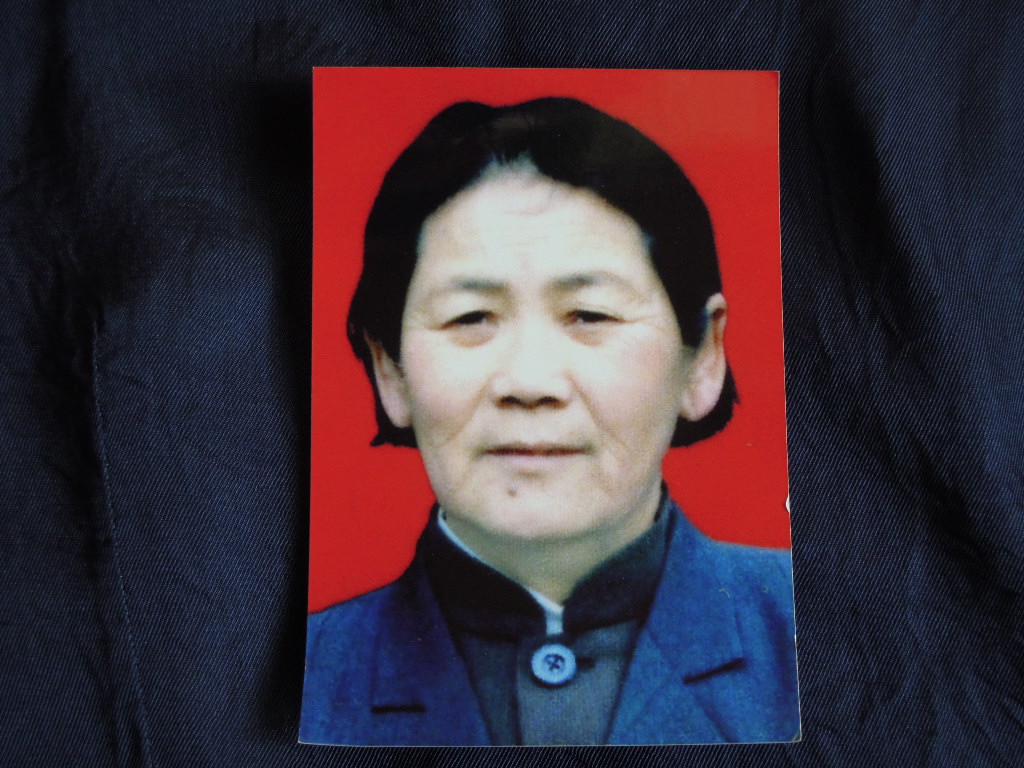 慈母杨引儿