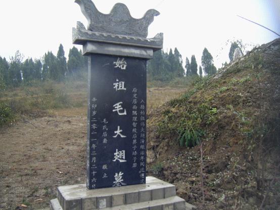 毛大翅