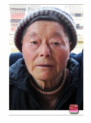 父陈难荪