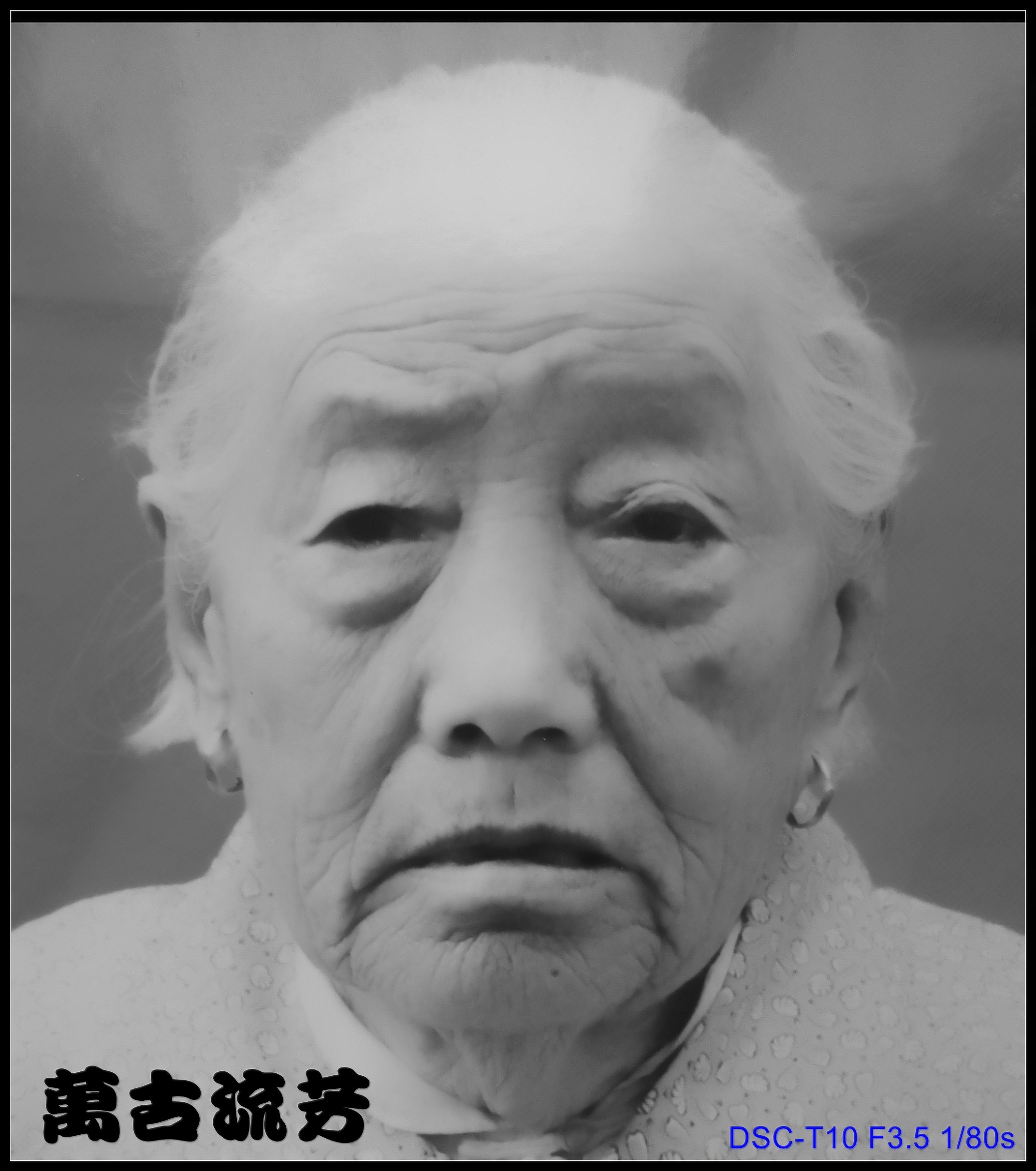 薛春固