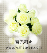 慈母胡巧玲大人