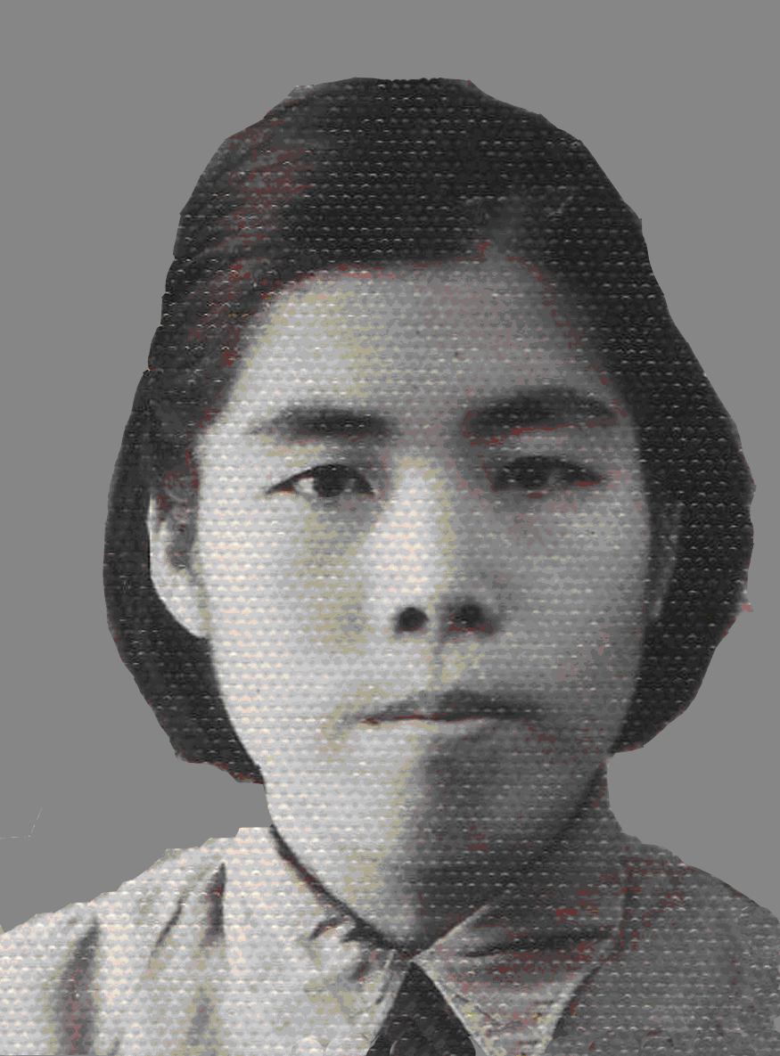 惠淑蔚
