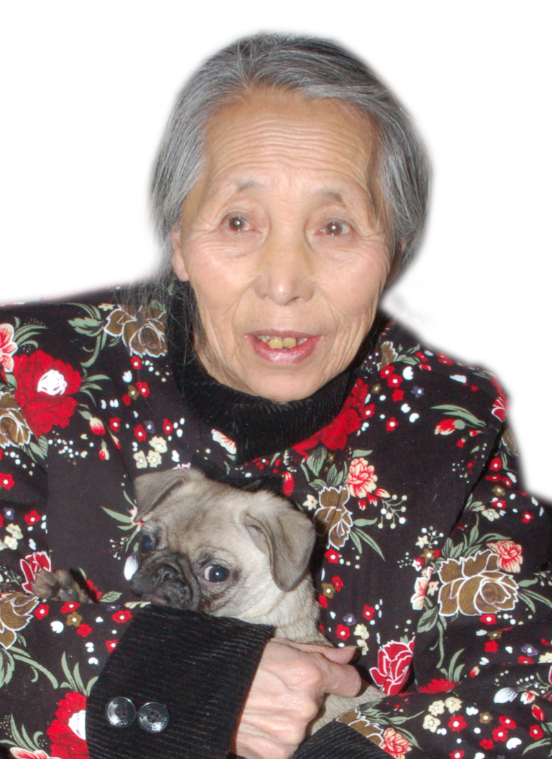 李万芝