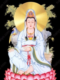 感恩先辈，源远流长