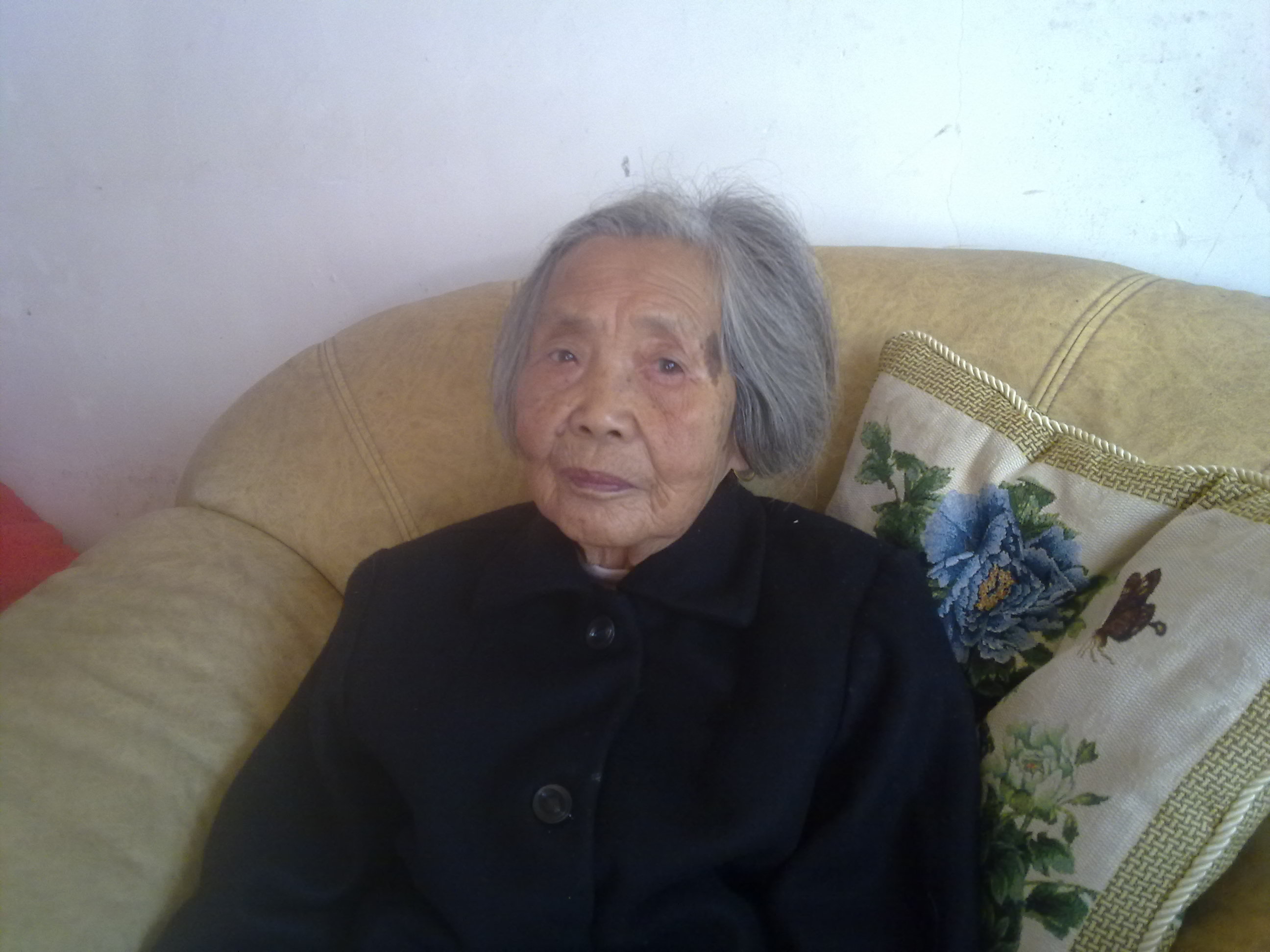 顾明菊