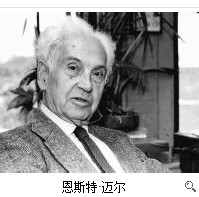 恩斯特·迈尔