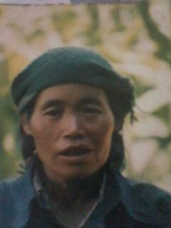 叶乔莲