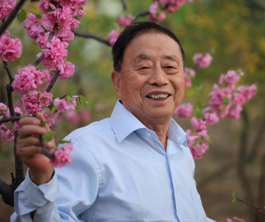 葛德金