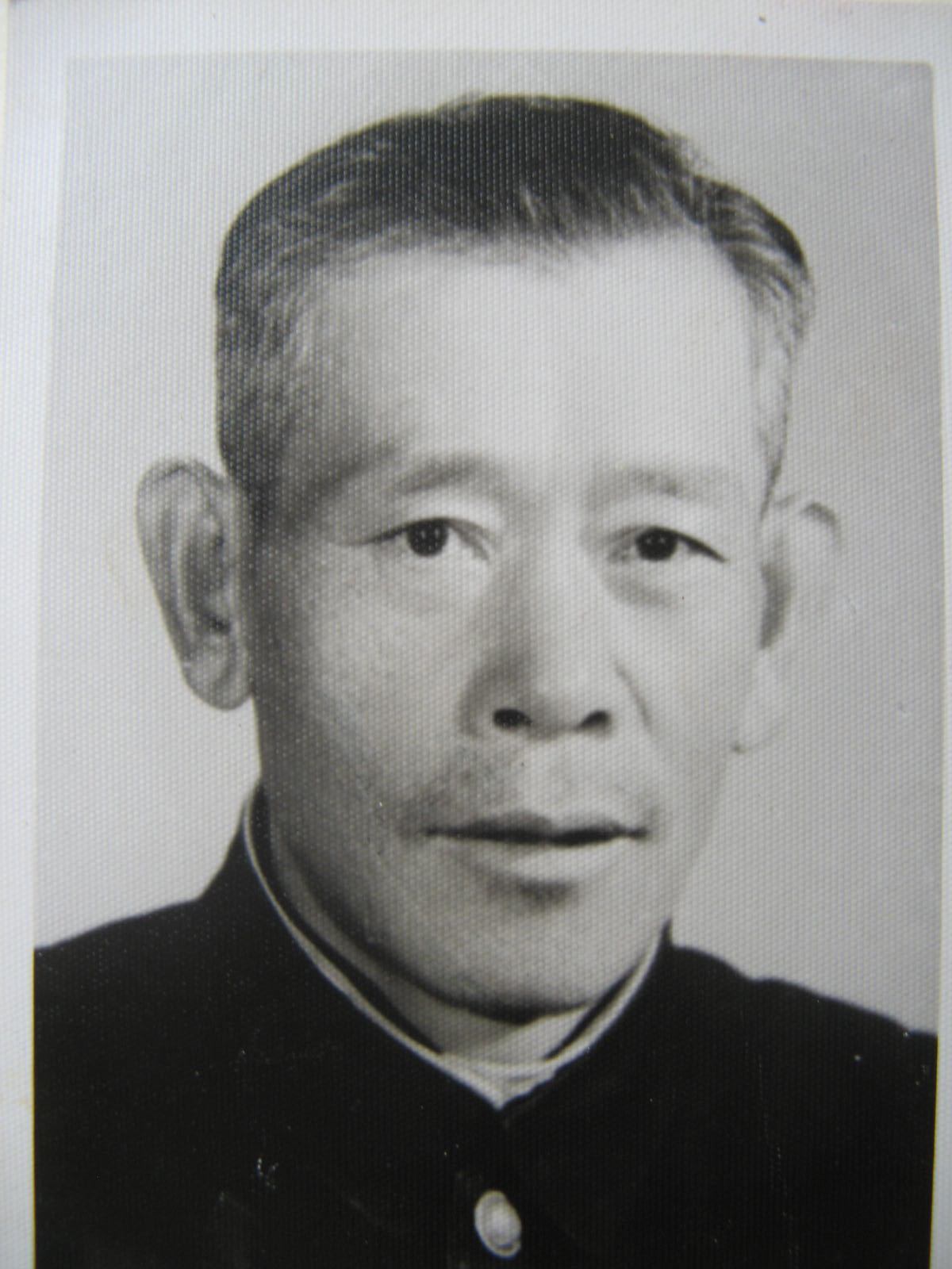 蓝树樟