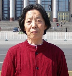 翟凤梅