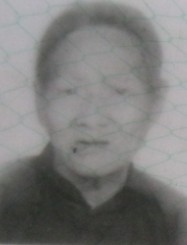倪启英