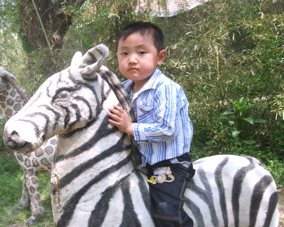 丛子麟