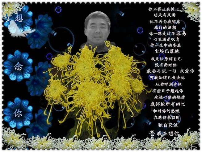 刘树才