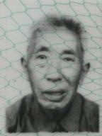 连文桧