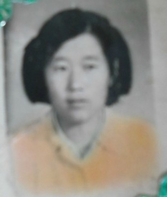 杨淑琴