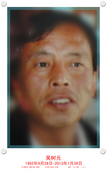 吴树元