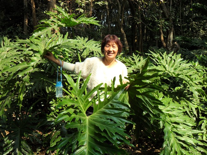 赵栓珍