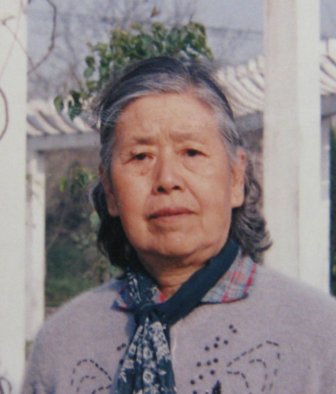 赵桐华