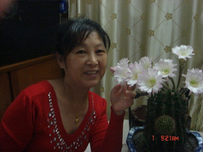 王慧萍