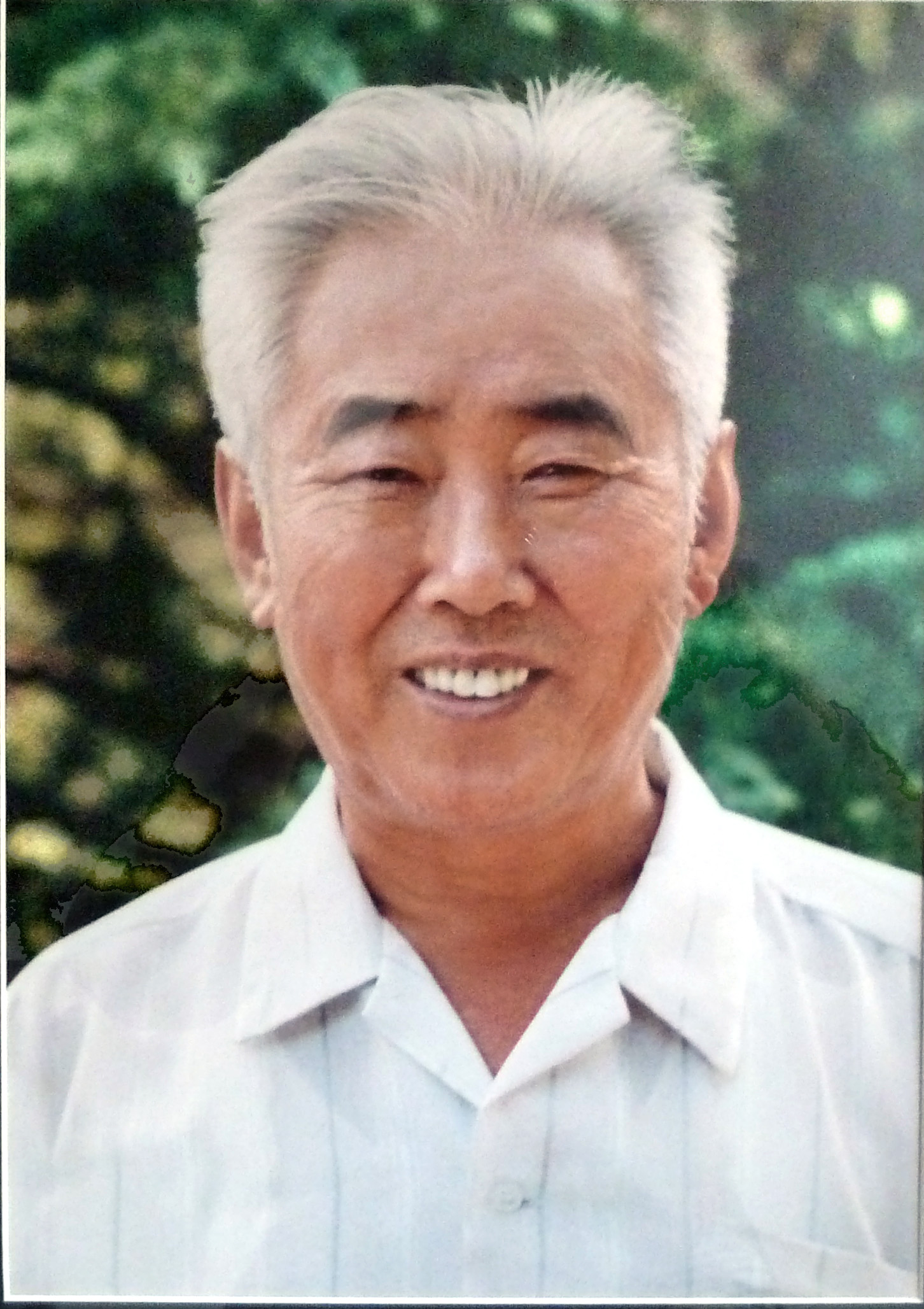 梅树民