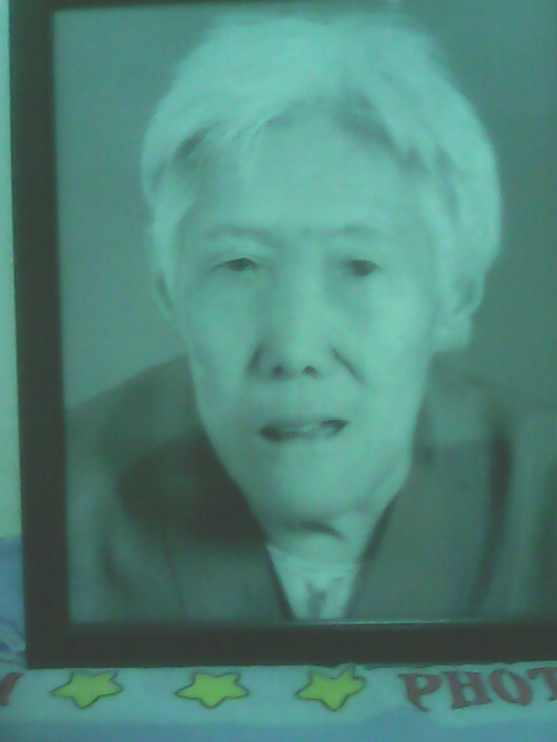 刘凤梅