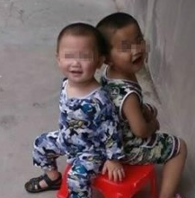赵晓瑞