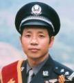 张本树