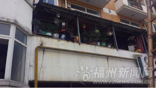 女子长期吸毒产生幻觉爬阳台喊“我要跳楼”