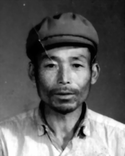 于林