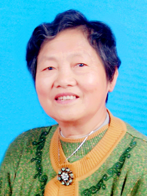 何高敏