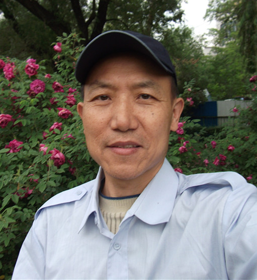 武宏