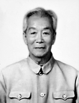 章子冈