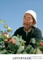 吴吉昌