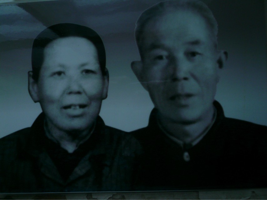 张月民