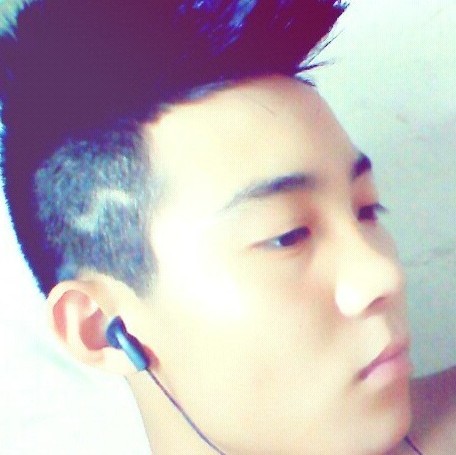 l罗维