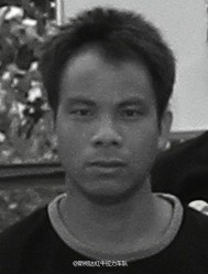 李高强