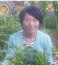 王兰花