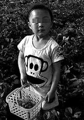 王婷婷