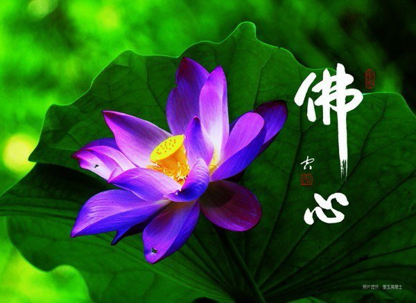 月亮