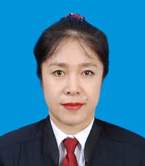 贾乃文