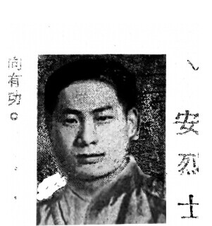 安家驹