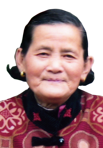 绿叶先母