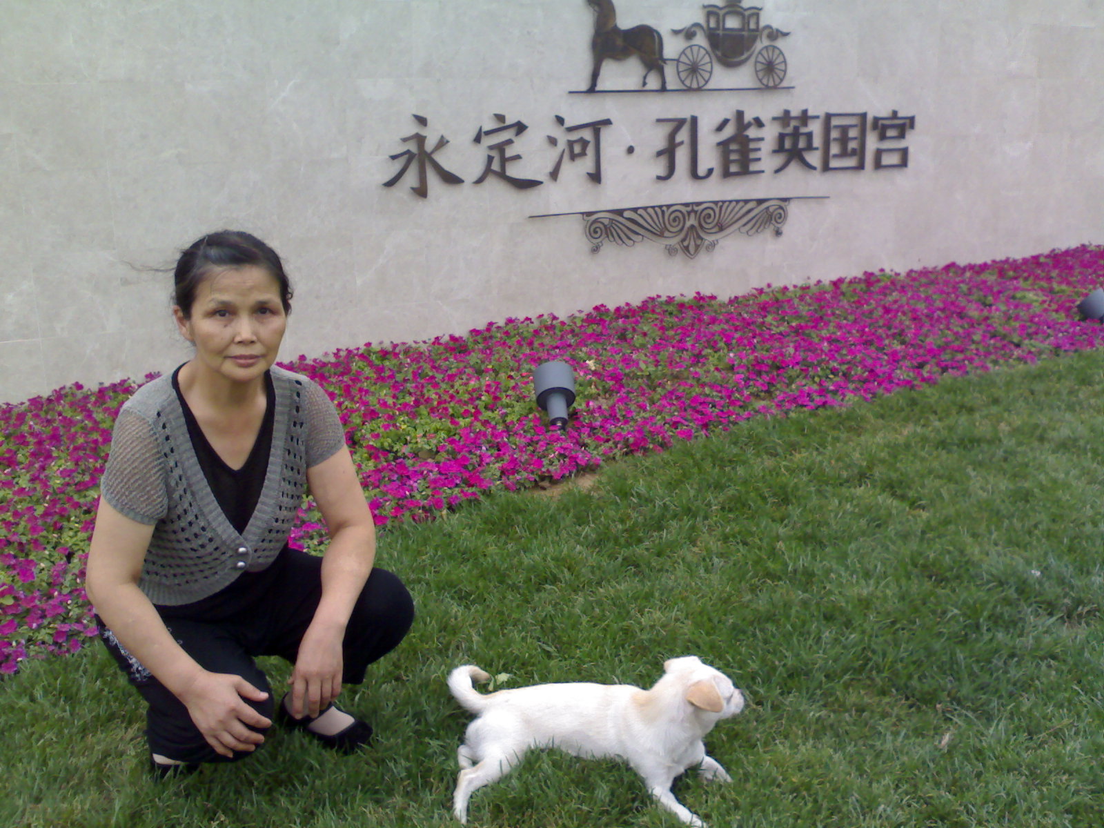 xiangzhiyun