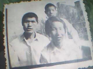 小羊羔