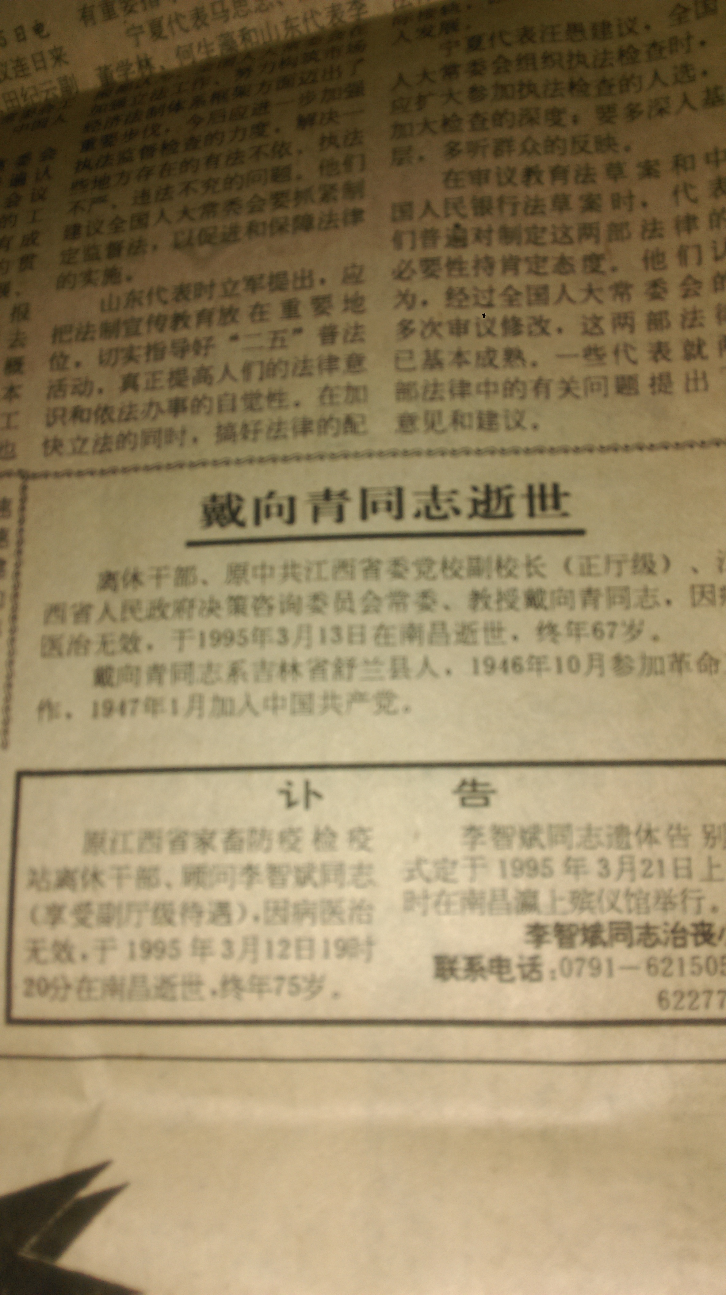 戴向青